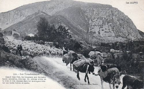 transhumance